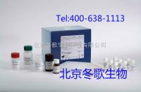 大鼠肌钙蛋白Ⅰ北京试剂盒/Rat Tn-Ⅰ 北京KIT**产品公司 
