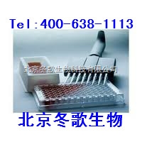 进口原装大鼠纤维蛋白原（北京Rat Fb）ELISA Kit北京代理 