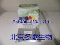 小鼠绿脓杆菌（p.aeruginosa）北京ELISA试剂盒售后服务免费代测 