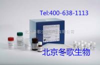 生物试剂盒北京哪里卖  蛋白质羰基测试盒紫外分光光度法/特价价格 