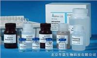 进口原装Sigma  四甲基氢氧化铵（T7505-25G）北京生化试剂 厂家现货价格促销 