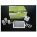 猪载脂蛋白B100(ApoB100)ELISA试剂盒 