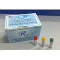 猪甲酰甲硫氨酸(fMet)ELISA试剂盒 