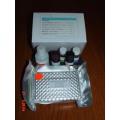 白介素（IL-2）测试盒 