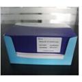 兔胸腺基质**细胞生成素(TSLP)ELISA试剂盒 