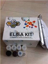 96T/48T  人羰基化蛋白（PC）ELISA 试剂盒  齐一现货供应 