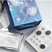 小鼠促甲状腺素（TSH）ELISA试剂盒 