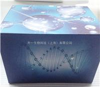 大鼠抗心磷脂抗体IgM（ACA-IgM）ELISA试剂盒 
