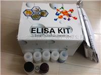 96T/48T  人巨噬细胞炎性蛋白3α（MIP-3α/CCL20）ELISA 试剂盒 