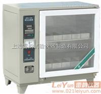 上海雷韵ZFX-10A自控砖瓦泛霜箱/砖瓦蒸煮箱价格 