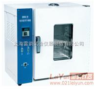 上海品质101-4A鼓风干燥箱，300度实验电炉价格 