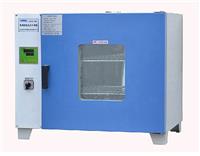 GZX-DH.600-BS-II电热恒温干燥箱 3000W88*73*95干燥箱 