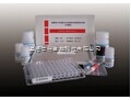 人牛小肠碱性磷酸酶（CIAP）检测试剂盒 