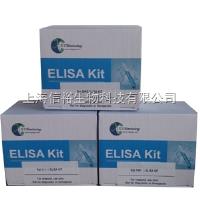 鸡白介素2（IL-2）检测试剂盒 