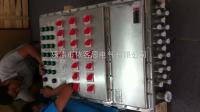 FXM-G-12K100防水防尘防腐照明配电箱（不锈钢材质 壁挂式安装 