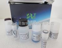 人甲状腺素（T4）ELISA试剂盒 