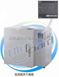 BPG-9200AH  高温鼓风干燥箱，四川通净实验仪器批发公司 