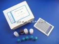 人载脂蛋白B100（apo-B100）ELISA试剂盒 