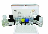 人白介素2（IL-2）ELISA试剂盒 