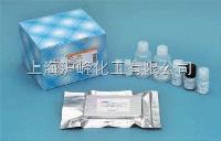 人白介素23（IL-23）ELISA试剂盒 