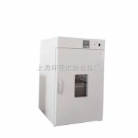 DHG-9145A  【DHG-9145A】厂家直销 立式干燥箱 电热恒温鼓风干燥箱 