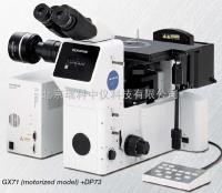 奥林巴斯倒置金相显微镜GX71 