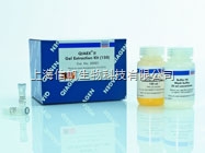 大鼠羟脯氨酸（Hyp） ELISA试剂盒上海现货供应，提供一对一咨询 