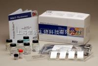 大鼠血栓素A2（TXA2） ELISA试剂盒现货供应，提供技术指导，实验代测 