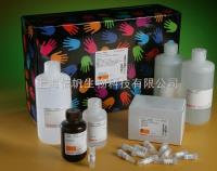 人乳腺癌抗原（CA15-3） ELISA试剂盒，上海信帆热卖，欢迎来电咨询，索要说明书 