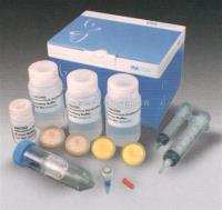 人细胞周期蛋白依赖性激酶活化激酶（CAK） ELISA试剂盒现货供应，快递包邮 