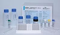 大鼠白介素23ELISA试剂盒 大IL-23试剂盒免费代测 
