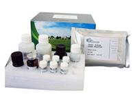 人胃蛋白酶ELISA试剂盒 人Pepsin试剂盒免费代测 