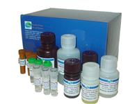 人丙氨酸转氨酶ELISA试剂盒 人ALT试剂盒免费代测 