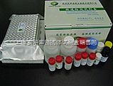 脂质过氧化物（LPO）含量测试盒 