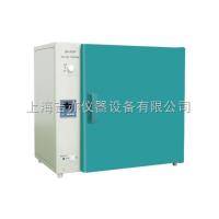 BPH-9100A  高温干燥箱 