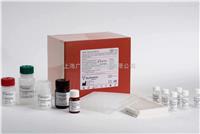 人血小板生成素elisa技术,（TPO）elisa试剂盒说明书 