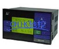 SWP-LCD-R8301-00-23/23/12-N 无纸记录仪表 