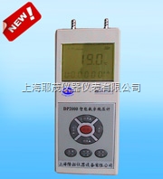 DP-2000  数字微压计/压力风速风量仪 