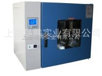 250-15G  台式250-15G电热恒温鼓风干燥箱 上海鼓风干燥箱 135L干燥箱 