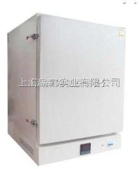 DHT-5200A  500℃高温干燥箱 DAOHAN高温烘箱DHT系列 