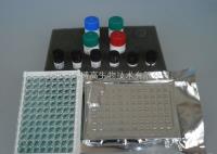 小鼠红细胞生成素（EPO）检测ELISA试剂盒 