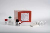 大鼠血小板因子3检测试剂盒现货，大鼠血小板因子3检测试剂盒低价 