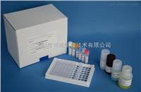 兔阿霉素（ADR）ELISA 试剂盒厂家直销，北京ELISA试剂盒说明书 