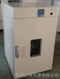 DHG-9030B  鼓风干燥箱 300度 容积30升 干燥柜 