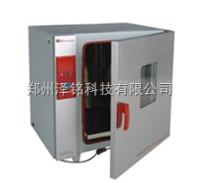 BGZ-246  化验室专用电热鼓风干燥箱/鼓风干燥箱厂家 