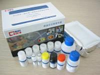 小鼠游离甲状腺素（FT4）ELISA试剂盒 