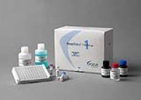 小鼠补体蛋白3（C3）ELISA试剂盒 