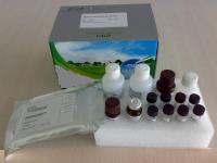 犬胰蛋白酶（trypsin）ELISA试剂盒 