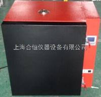 DHG-9249A  工业高温烘箱500度 