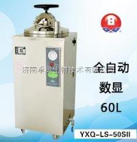 YXQ-LS-50SII  **终了蜂鸣器提醒全自动高压**器，上海** 